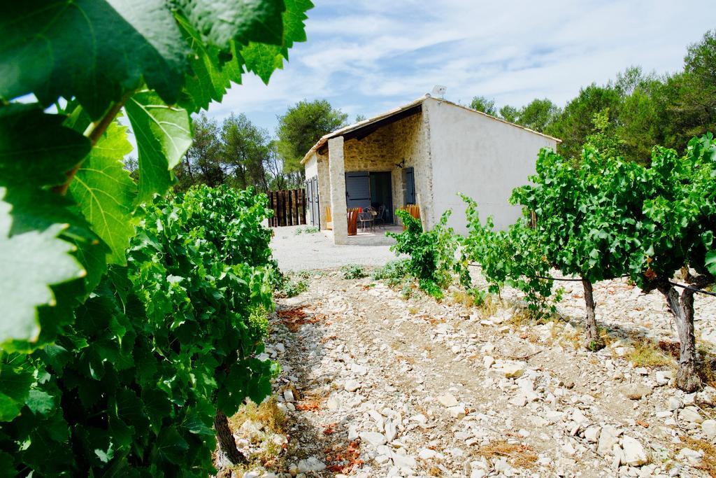 Les Lodges Du Pic Le Triadou المظهر الخارجي الصورة